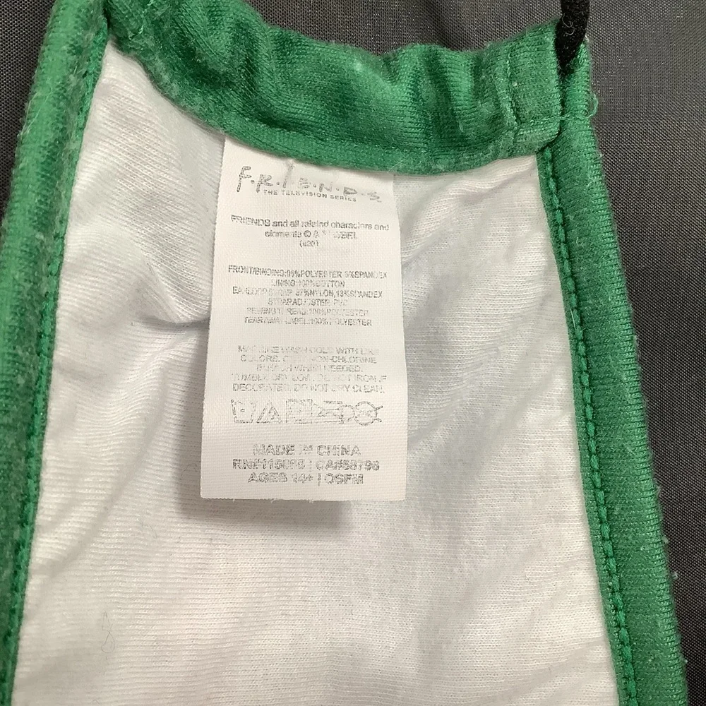Vintage 90s FRIENDS Green Central Perk Face Mask OS